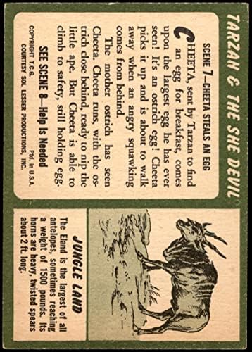 1953 Topps 7 Cheeta Lop egy Tojást (Kártya) EX/MT+
